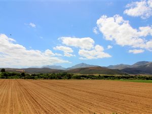 130 ha Farm in Mossel Bay Central