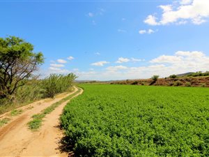 130 ha Farm in Mossel Bay Central