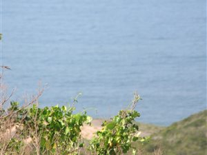 818 m² Land available in Dana Bay