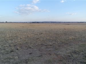 67.4 ha Land available in De Deur