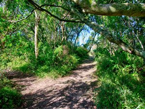 8 ha Farm in Harkerville