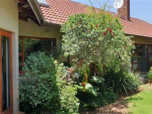 3 Bed House in Highway Gardens