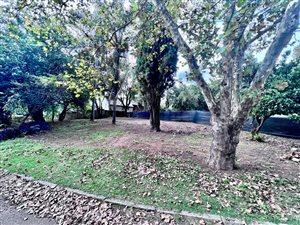 527 m² Land available in Menlo Park