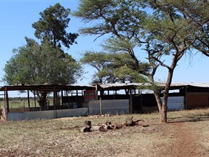 35 ha Farm in Bela-Bela (Warmbaths)