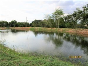 17 ha Farm in Rocky Drift