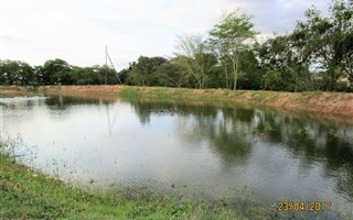17 ha Farm in Rocky Drift