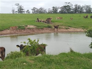 901 ha Farm in Port Alfred