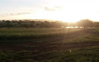130 ha Farm in Hluhluwe