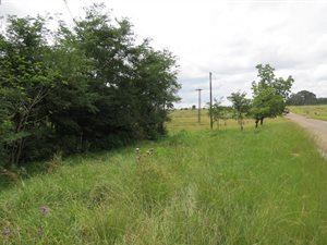 2855 m² Land available in Belfast