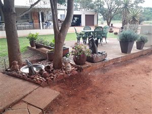 7 ha Farm in Mokopane