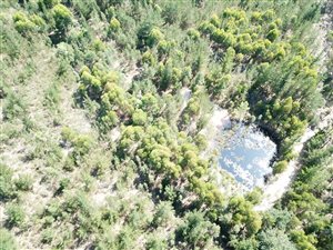 8.6 ha Land available in Rheenendal