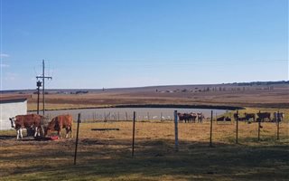 122 ha Smallholding in Bethlehem