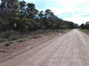 5.8 ha Farm in Little Chelsea