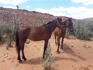 3.1 ha Farm in Touws Rivier