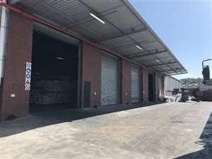 8293 m² Industrial space in Congella