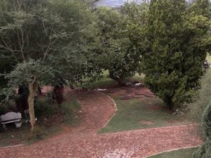 8 ha Farm in Zandfontein AH
