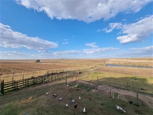 5.3 ha Farm in Bethlehem
