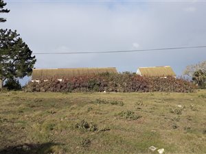 433 ha Farm in Riversdale