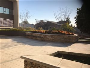 174 m² Office Space in Broadacres