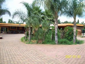 1.3 ha Farm in Rand Collieries