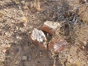 4149 m² Land available in Oviston