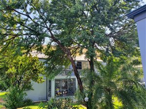 3 Bed Apartment in Suiderberg