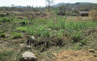 592 m² Land available in Drum Rock