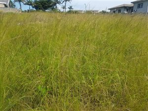 412 m² Land available in Stanger Central