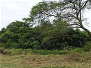 390 m² Land available in Ngwelezana