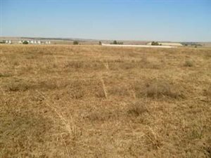 2006 m² Land available in Kaydale