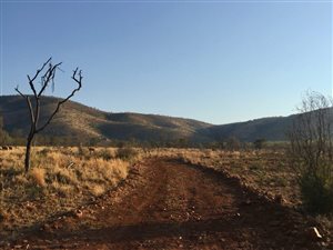 759 ha Farm in Rooiberg