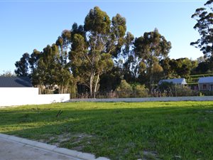 2 Bed House in Nuutgevonden