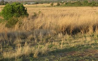 4.2 ha Land available in Boschkop