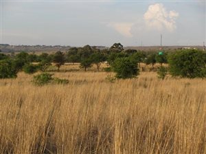 4.2 ha Farm in Boschkop