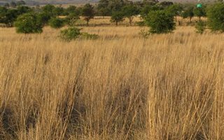 4.2 ha Land available in Boschkop