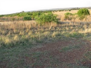 4.2 ha Farm in Boschkop