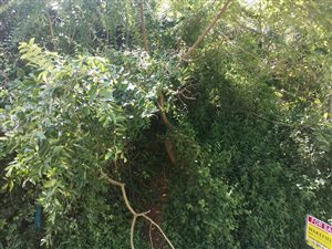 2023 m² Land available in Reservoir Hills