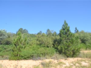9971 m² Land available in Blue Hills Country Estate