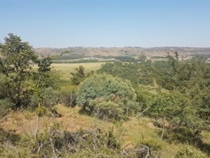 4.3 ha Land available in Tiegerpoort