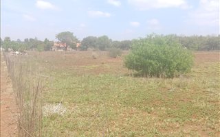1 ha Farm in Gerhardsville