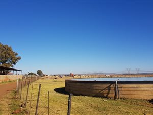 144.6 ha Farm in Tarlton