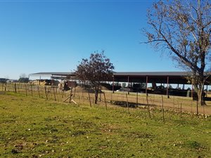 144.6 ha Farm in Tarlton