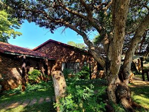 2 ha Farm in Rynoue
