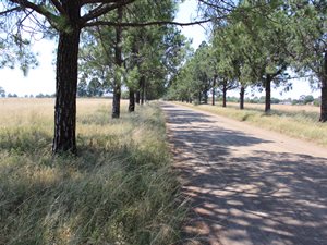 1924 m² Land available in Deneysville