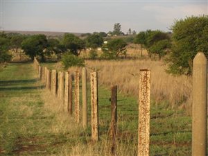 4.2 ha Land available in Boschkop