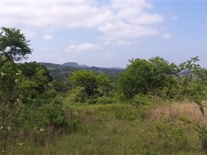 26 ha Farm in White River AH