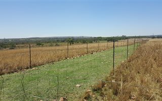 20.1 ha Farm in Elandshoek