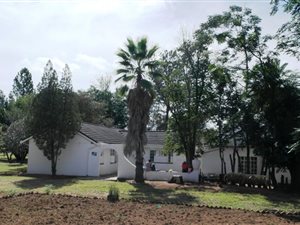 1 ha Farm in Alma
