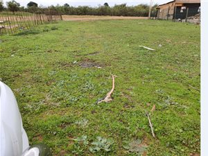 546 m² Land available in Chatsworth Central