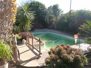 4 Bed House in Springs Central